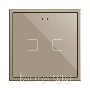 Flat RGB 70 X2. Glass Capacitive push button 70x70 - 2 buttons - Champagne