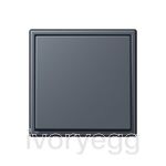 Bluetooth Low Energy radio transmitter 2-channel LC4320U gris fonce 59 with frame