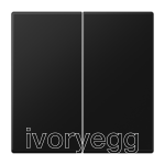 LS Range 2-gang rocker, duroplastic lacquered, matt graphite black