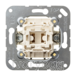 1G/1W Switch Insert