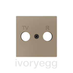 ZS55. Cover plate for TV/R insert 55x55 mm - Champagne