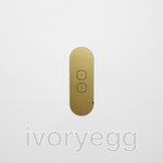 13 FLUSH - 2-Gang Casambi Enabled Switch with Metal Faceplate - Brass