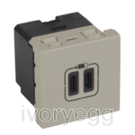 USB Double Socket Type C Charger 5V 3000MA 2 Module - champagne