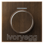 LS Range, Centre plate with lens for rotary sensor 1-gang, with lens, antique brass