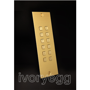 Access keypad, Bronze gold, stand alone 2 relays +Wiegand recessed 55x211mm with integrated badge reader