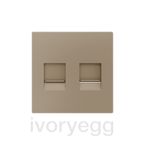 ZS55. Cover plate for RJ45 connector 55x55 mm - 2 inserts - Champagne