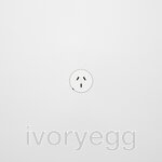 Single Outlet - Matte White