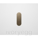 13 FLUSH - 1-Gang Casambi Enabled Switch with Metal Faceplate - Aged Brass