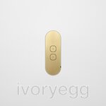 13 FLUSH - 2-Gang Casambi Enabled Switch with Metal Faceplate - Natural Brass