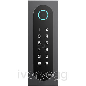 keypad/Badgereader/Bluetooth/NFC/QR: 1 relay, Wiegand and Cloud