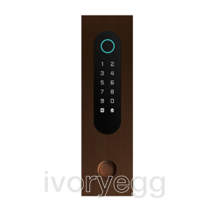 Access keypad/Badge reader/Bluetooth/NFC/QR reader, Bronze rustic, flush mounted