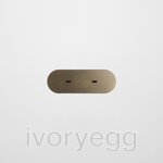 13 FLUSH - Dual USBC Module with Metal Faceplate - Aged Brass