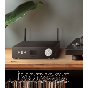 Audio Streamer, Single Zone 2X50W Amplifier