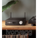 Audio Streamer, Single Zone 2X50W Amplifier
