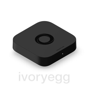 Homey Pro Mini